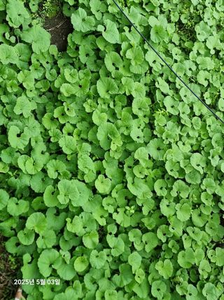 권병☆님의 자유주제 · 자유게시판 작성글 사진