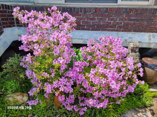 권병☆님의 자유주제 · 자유게시판 작성글 사진