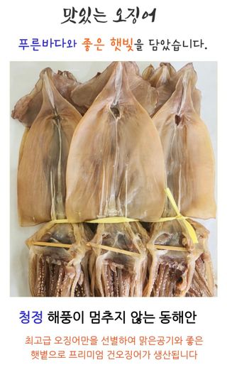 농수사님의 작성글 사진