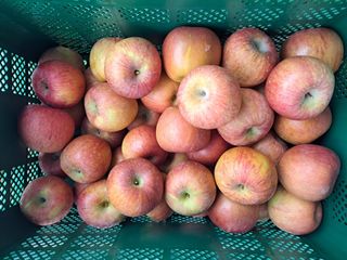 박수정님의 작성글 사진