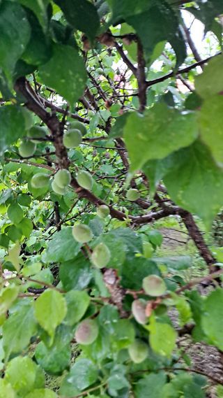 MSG0074님의 자유주제 · 자유게시판 작성글 사진