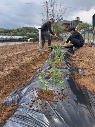 권병☆님의 자유주제 · 자유게시판 작성글 사진