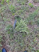 팜모닝 자유주제·자유게시판 게시글 이미지