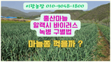 팜모닝 자유주제·자유게시판 게시글 이미지