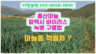 (이랑농장)김재한님의 자유주제 · 자유게시판 작성글 사진