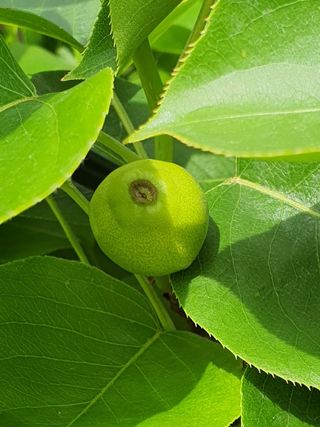 하나라도 소중하게님의 배·일상 작성글 사진