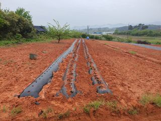 마바리63님의 자유주제 · 자유게시판 작성글 사진