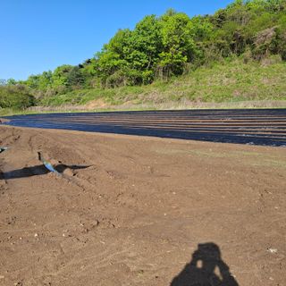 오영도님의 자유주제 · 자유게시판 작성글 사진