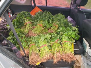 마바리63님의 자유주제 · 자유게시판 작성글 사진