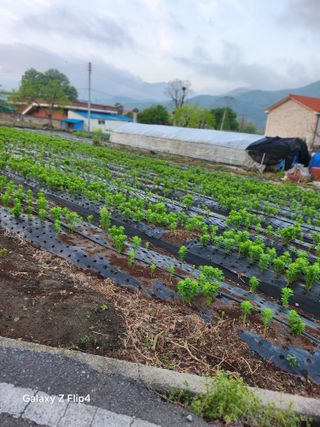 송명석님의 자유주제 · 자유게시판 작성글 사진