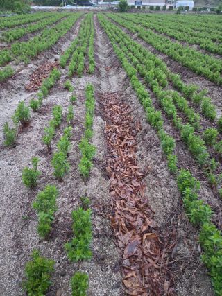 최동수님의 자유주제 · 자유게시판 작성글 사진