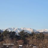 팜모닝 활착 노하우 알려주세요!·참여글 게시글 이미지