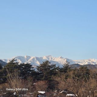 이의석님의 활착 노하우 알려주세요! · 참여글 작성글 사진