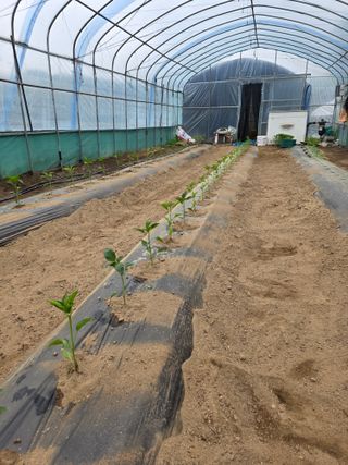 행운농부님의 자유주제 · 사진전 작성글 사진