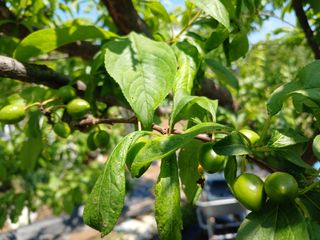 금동이네님의 자유주제 · 자유게시판 작성글 사진