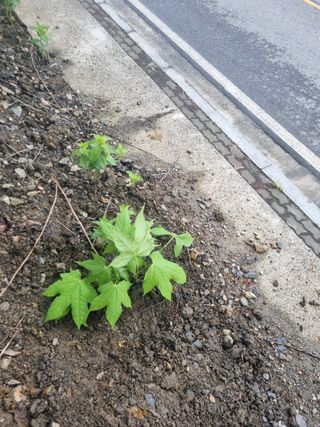 김용대님의 자유주제 · 자유게시판 작성글 사진