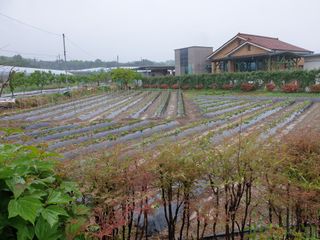 신득경님의 자유주제 · 자유게시판 작성글 사진