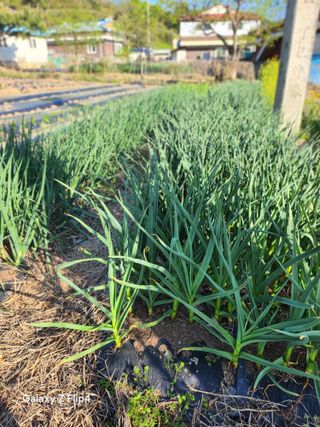 송명석님의 자유주제 · 자유게시판 작성글 사진