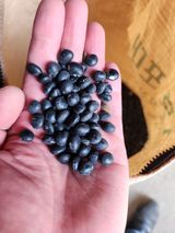 팜모닝 · 게시글 이미지