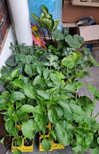 MSG0074님의 자유주제 · 자유게시판 작성글 사진