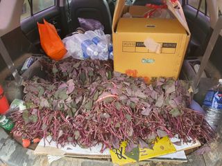 마바리63님의 자유주제 · 자유게시판 작성글 사진