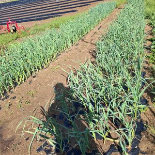 오영도님의 자유주제 · 자유게시판 작성글 사진