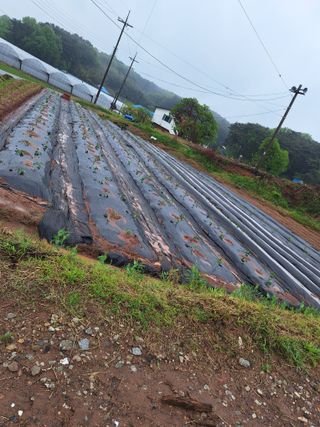 길가다우연히님의 자유주제 · 자유게시판 작성글 사진