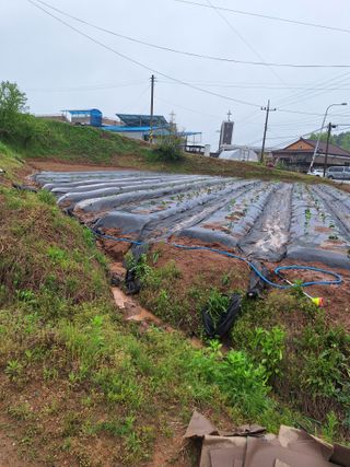 길가다우연히님의 자유주제 · 자유게시판 작성글 사진