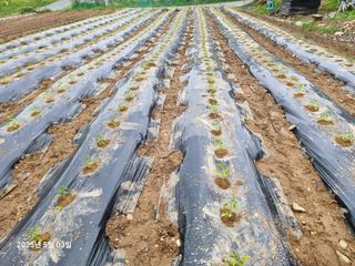 권병☆님의 자유주제 · 자유게시판 작성글 사진