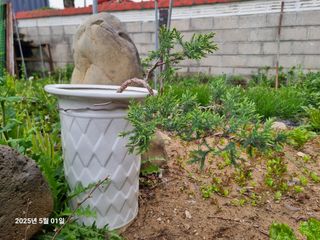 권병☆님의 자유주제 · 자유게시판 작성글 사진