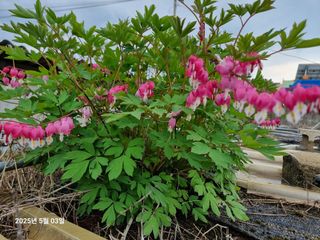 권병☆님의 자유주제 · 자유게시판 작성글 사진