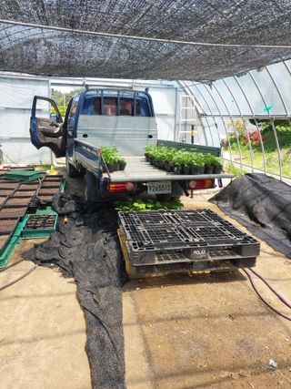 서산팔봉농원님의 자유주제 · 자유게시판 작성글 사진