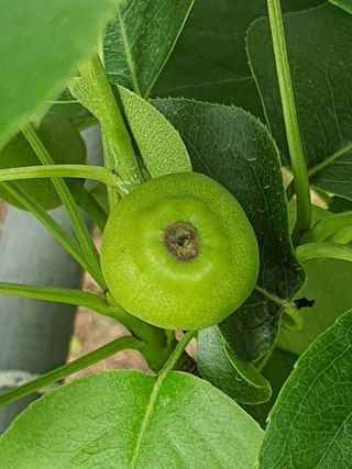 하나라도 소중하게님의 배 · 일상 작성글 사진