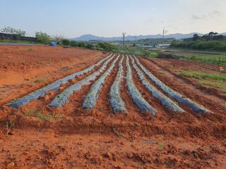 마바리63님의 자유주제 · 자유게시판 작성글 사진