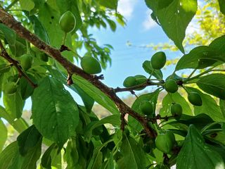 금동이네님의 자유주제 · 자유게시판 작성글 사진