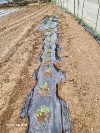 권병☆님의 자유주제 · 자유게시판 작성글 사진