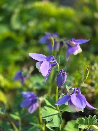 최동수님의 자유주제 · 사진전 작성글 사진