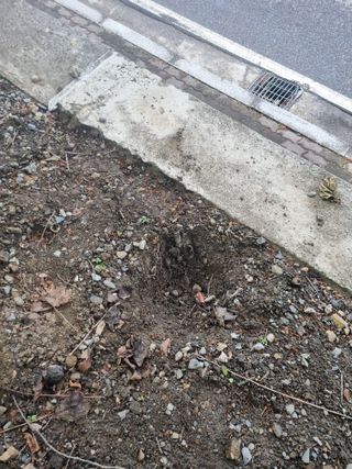 김용대님의 자유주제 · 자유게시판 작성글 사진