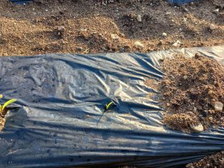 알 수 없음님의 자유주제 · 자유게시판 작성글 사진