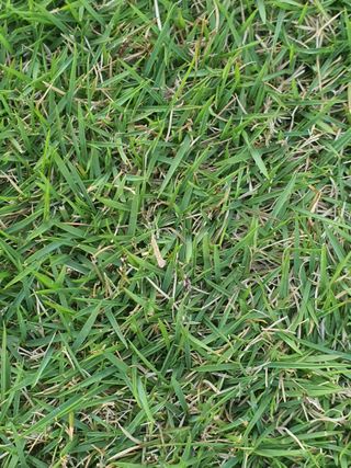 하나라도 소중하게님의 자유주제 · 자유게시판 작성글 사진