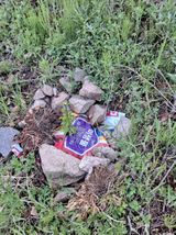 팜모닝 자유주제·자유게시판 게시글 이미지