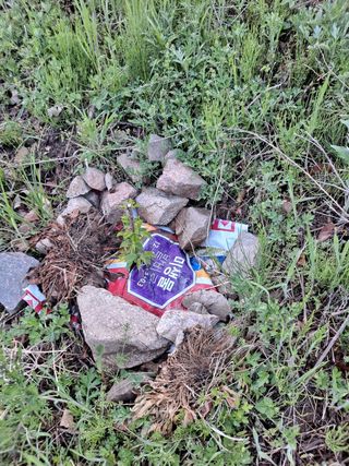 이은주(여성초보농민님의 자유주제 · 자유게시판 작성글 사진