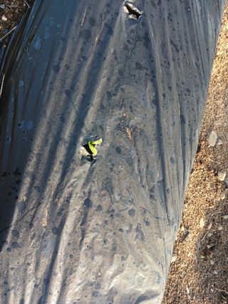 알 수 없음님의 자유주제 · 자유게시판 작성글 사진