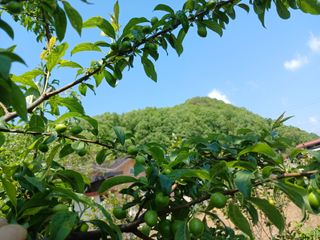 금동이네님의 자유주제 · 자유게시판 작성글 사진