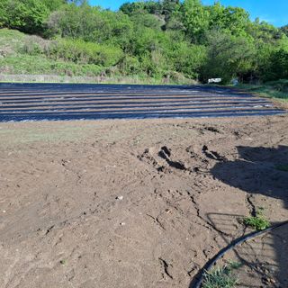 오영도님의 자유주제 · 자유게시판 작성글 사진