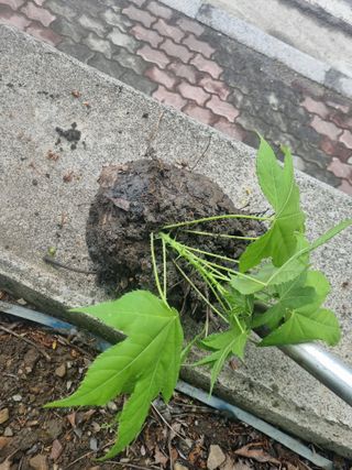 김용대님의 자유주제 · 자유게시판 작성글 사진