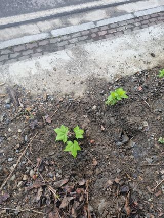 김용대님의 자유주제 · 자유게시판 작성글 사진