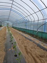 팜모닝 자유주제·사진전 게시글 이미지