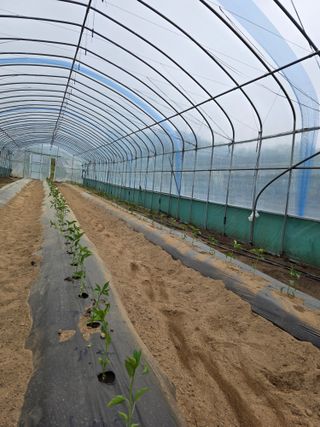 행운농부님의 자유주제 · 사진전 작성글 사진