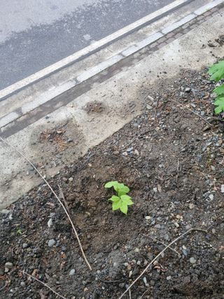 김용대님의 자유주제 · 자유게시판 작성글 사진